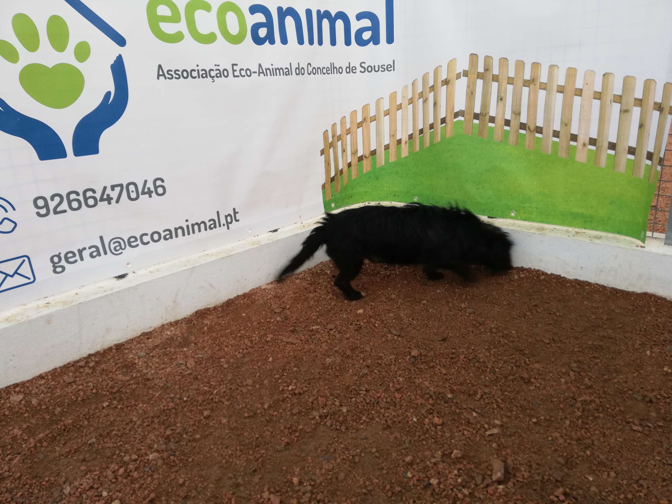 Socateiro