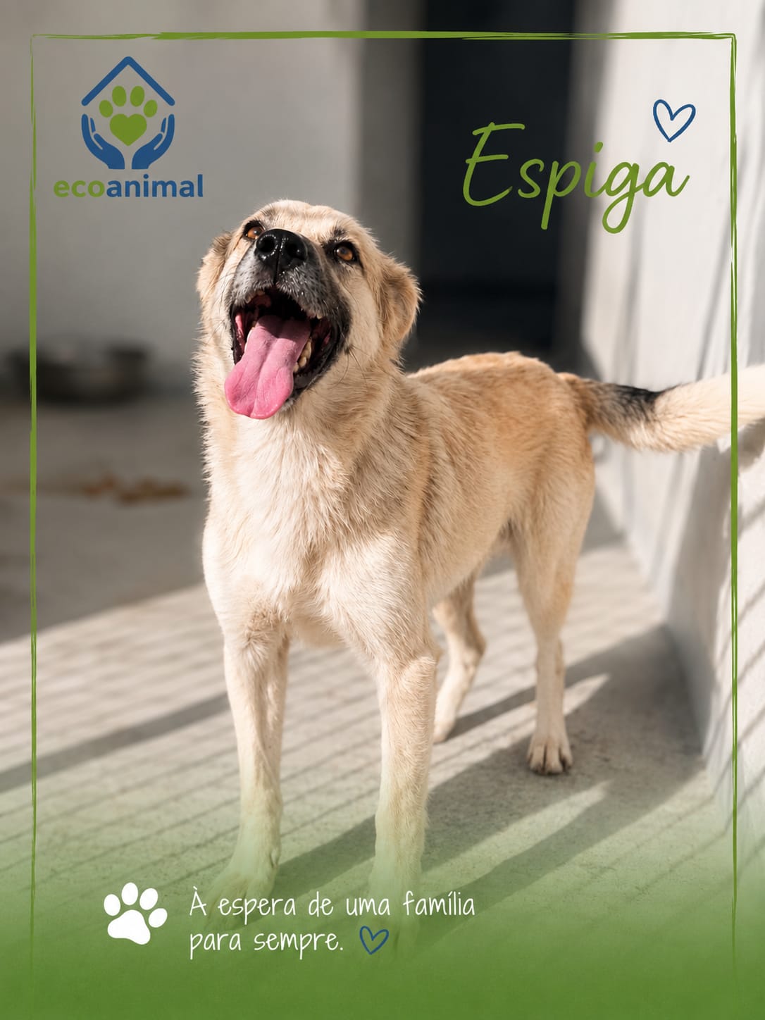 Espiga