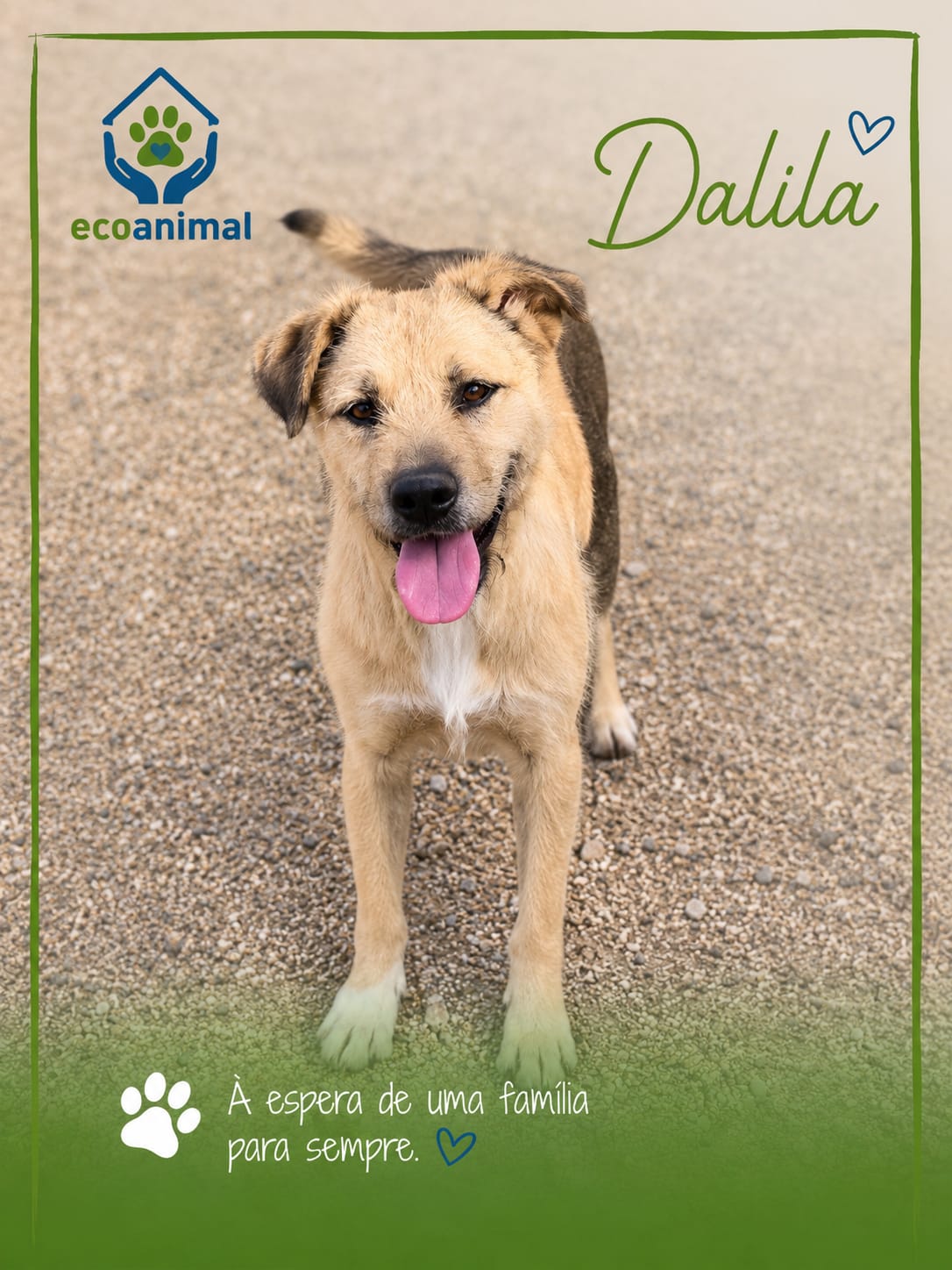 Dalila