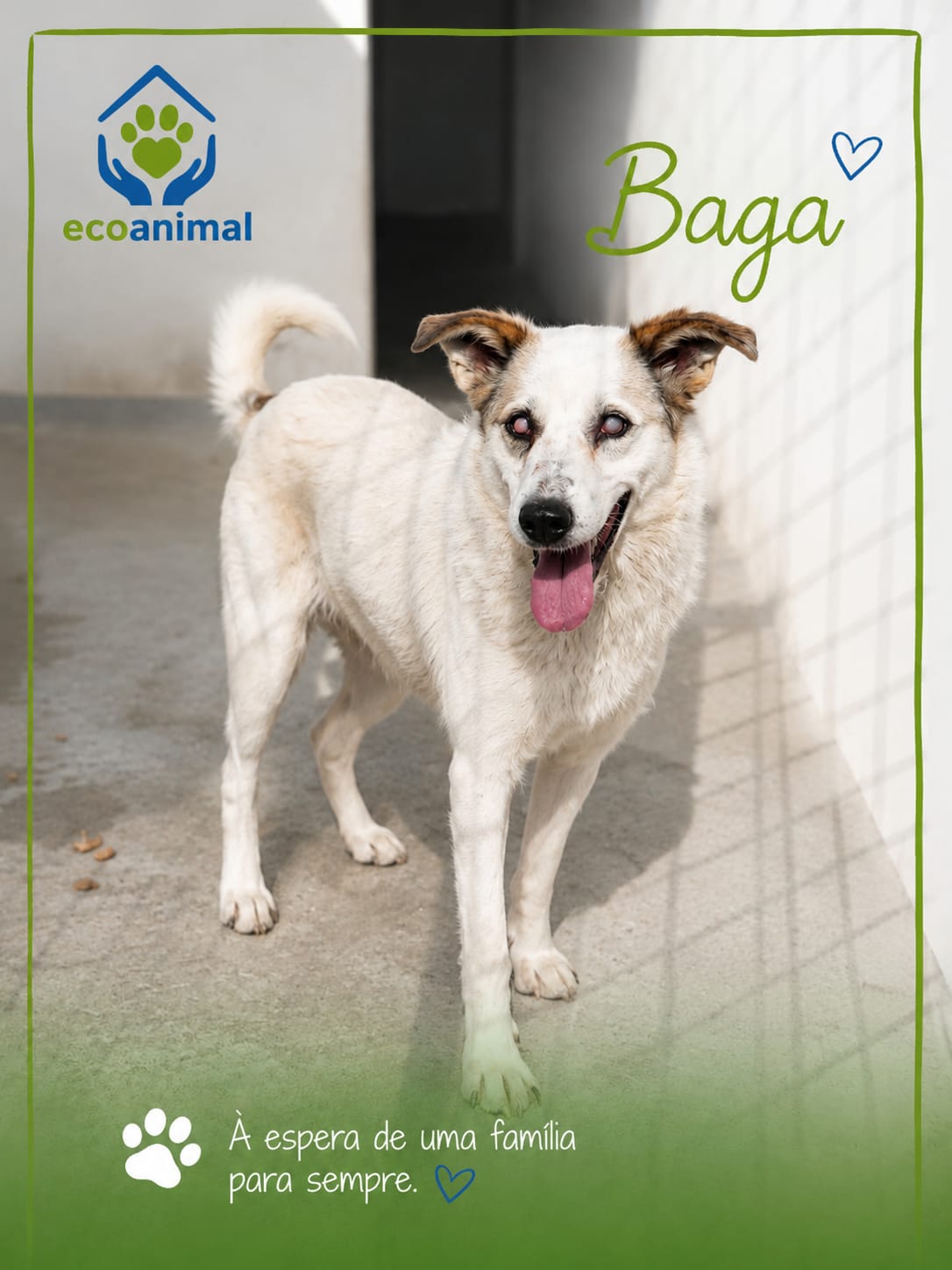 Baga
