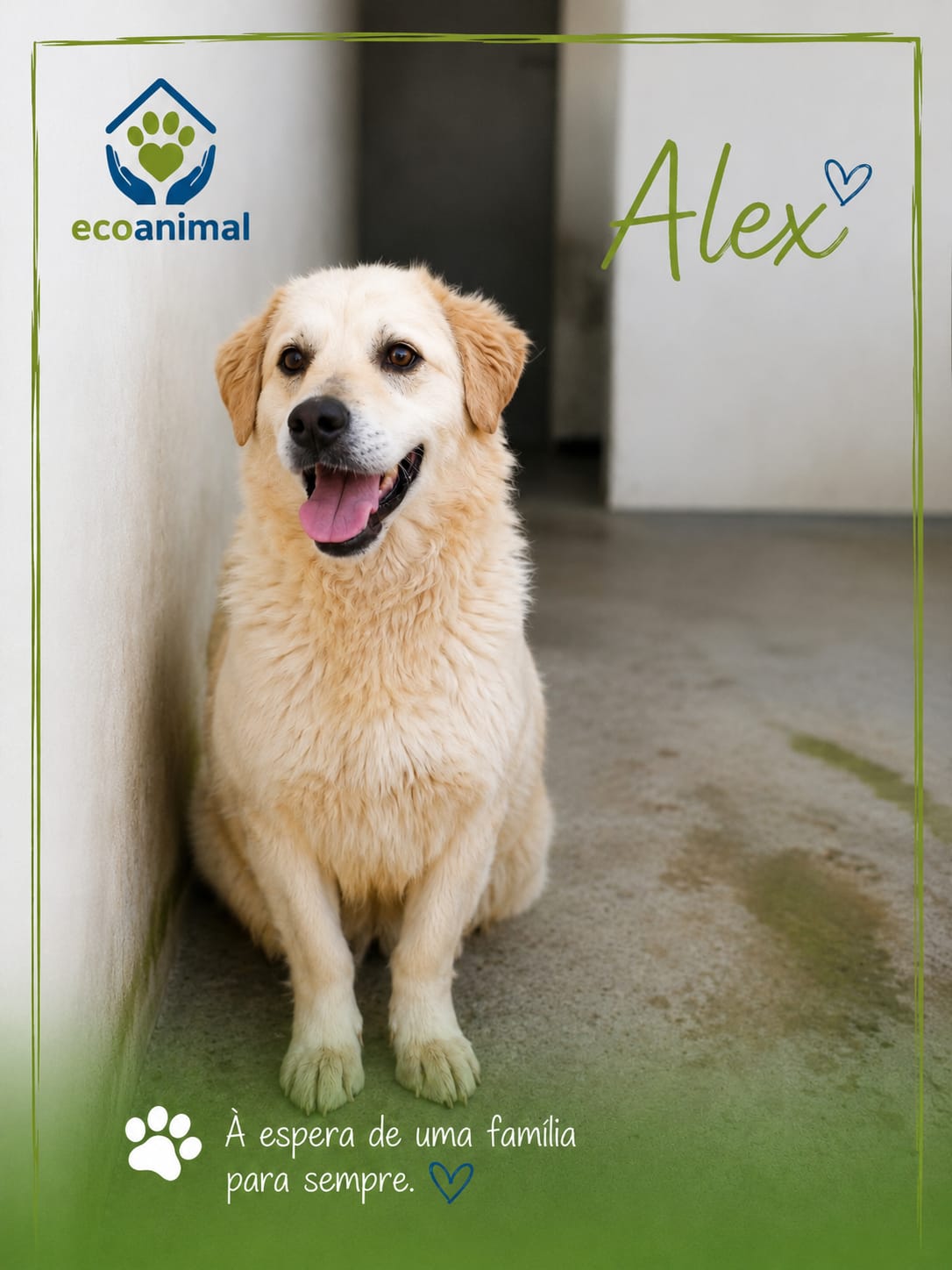 Alex